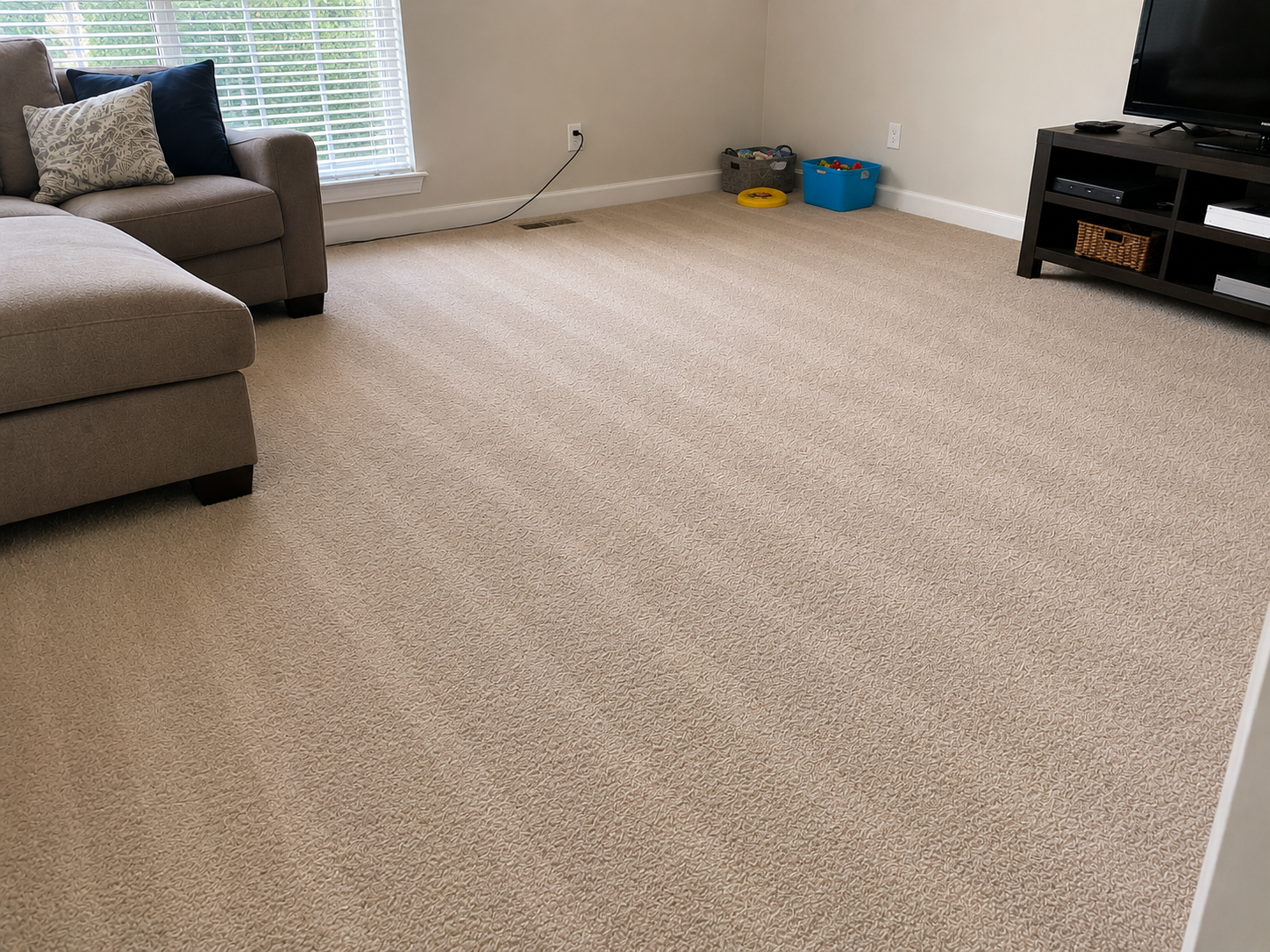 Living room before professional deep cleaning